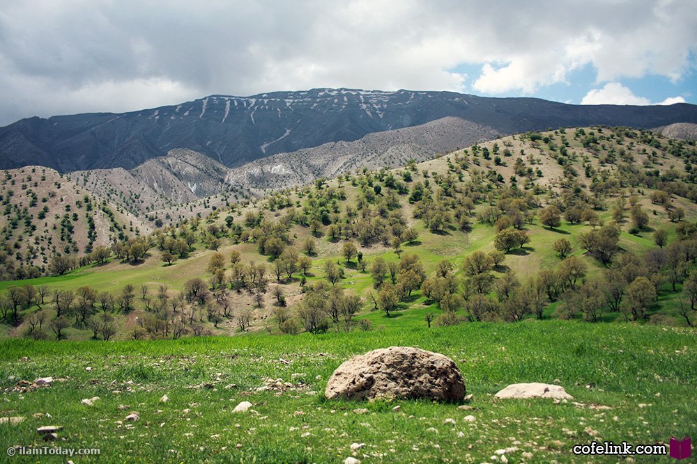 کافه لینک -کبیر کوه