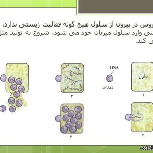پاورپوینت میکروب ها، بیماری و سلامتی